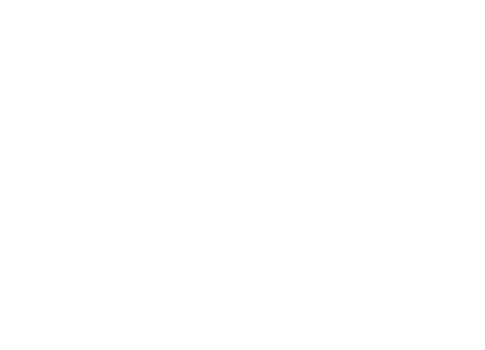 STEFF Events Logo